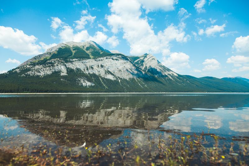 Photography by Indra van Davelaar